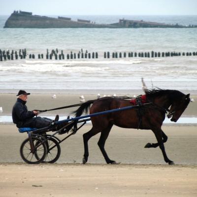 Normandy 155032