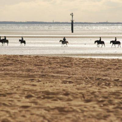 Normandy 2769987